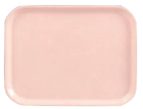 tray01